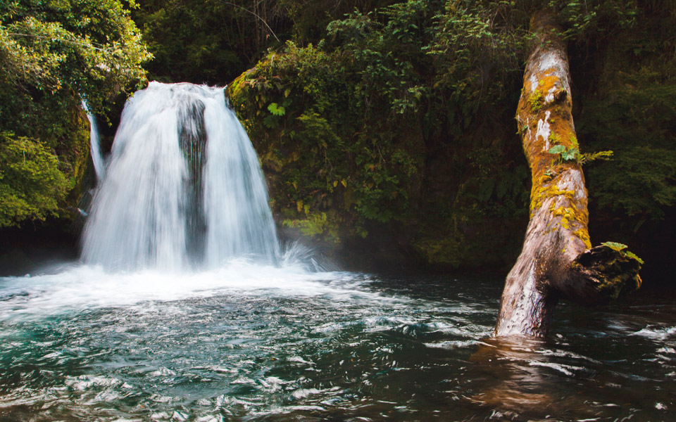 Parque nacional Puyehue